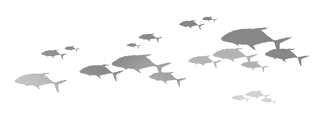 bg fish